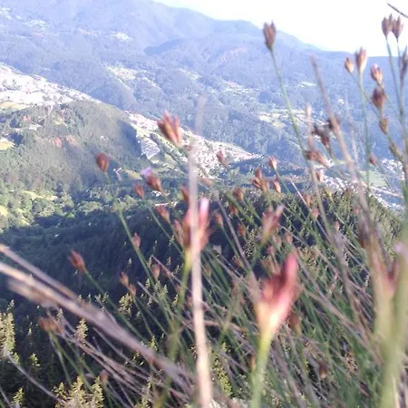 Πανσιόν Stepet